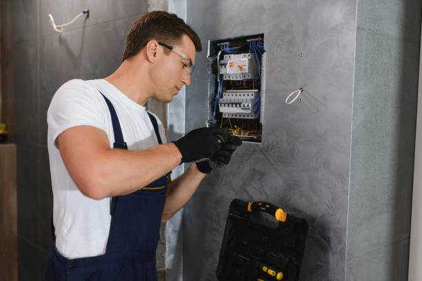 Best Home Electrical Repair  in La Crosse, WI