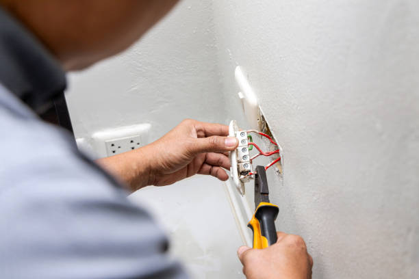 Best Electric Panel Repair  in La Crosse, WI